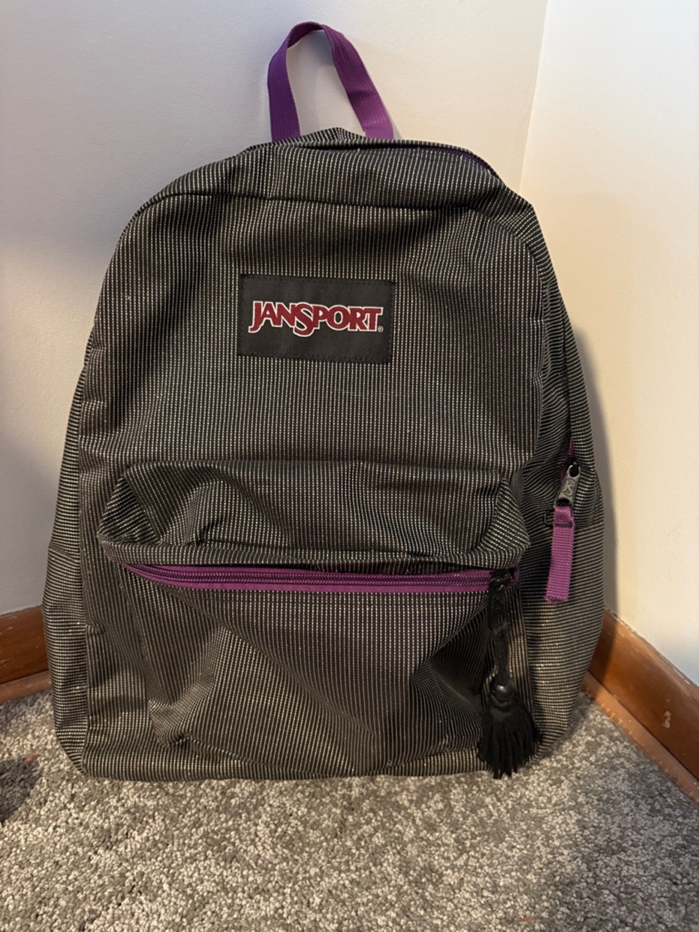 JanSport Sparkly Black Pinstripe Backpack with Purple Accents